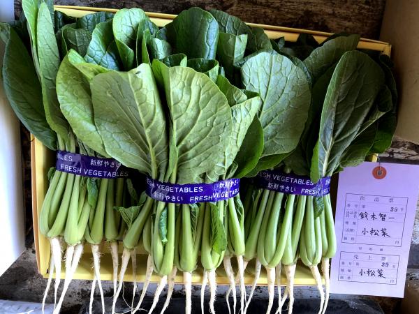 小松菜